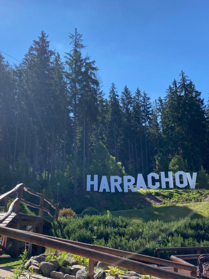 Apartman C. 19 Harrachov Exteriör bild